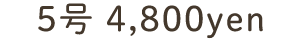 5号4800円